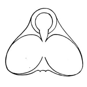 Esquisse de la fontaine Amanda