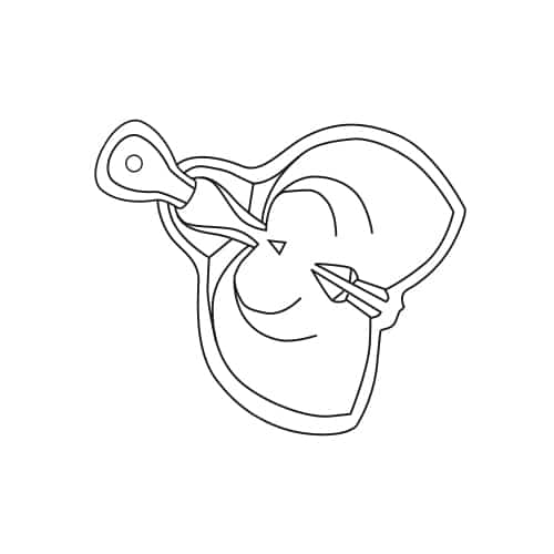 Fontaine Brocéliande