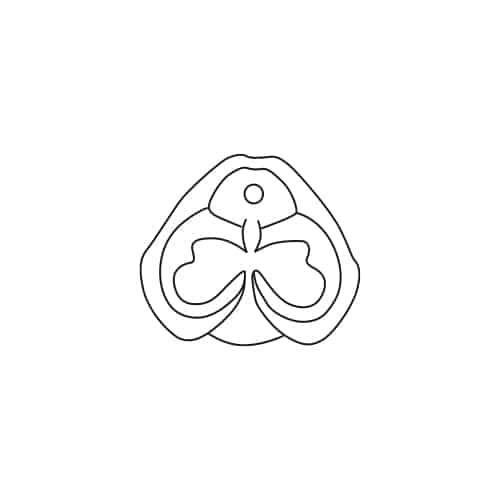 Fontaine Papillon 500/650