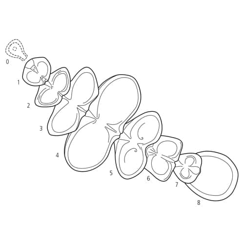 Esquisse de la fontaine Symphonie