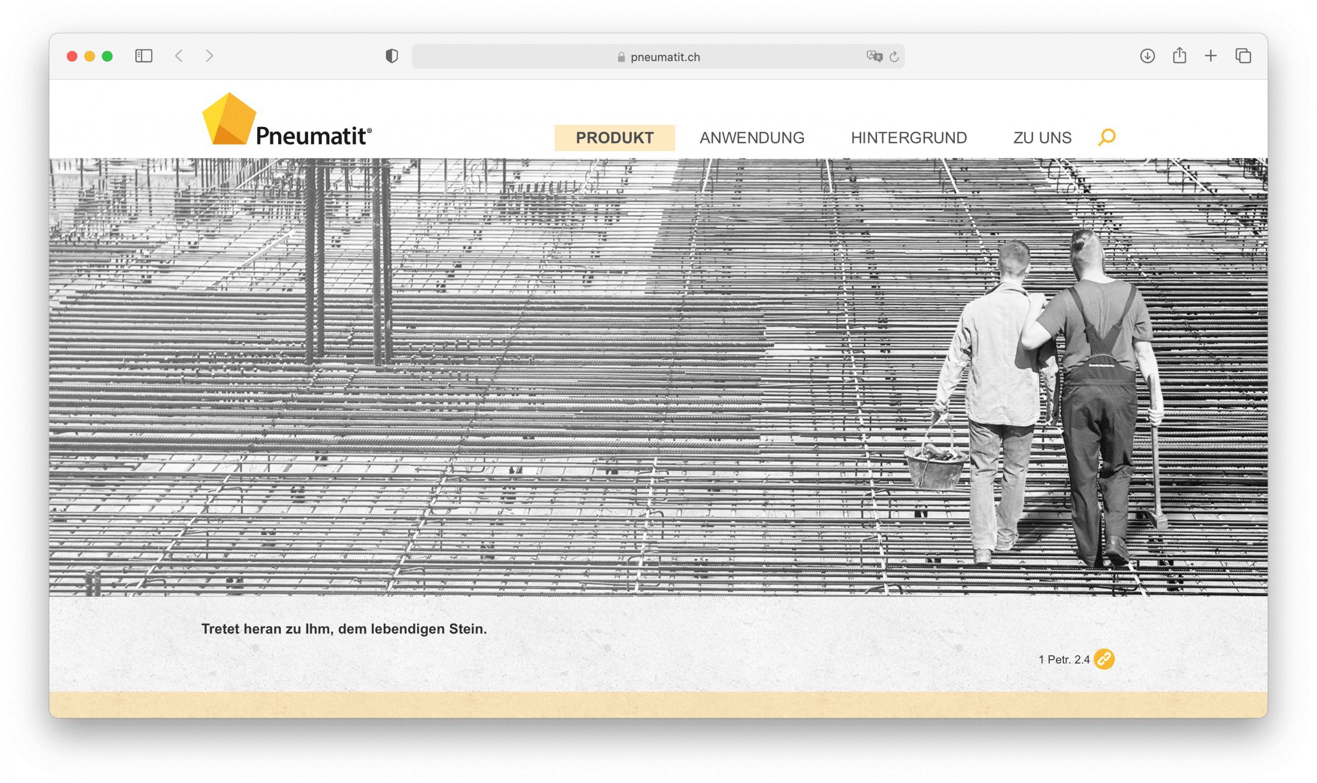 Aperçu du site Internet Pneumatit