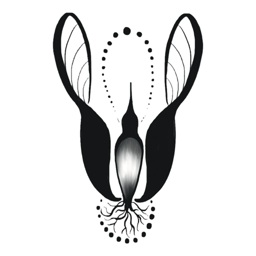 Favicon pour le site Aïga Terra