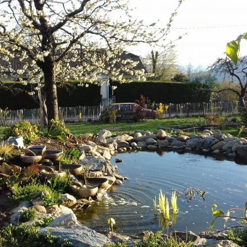 Cascade d'eau constituée par 3 grandes Vasques Vives Helena dans un jardin aquatique.