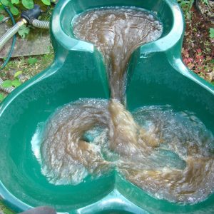 Vasque Vive Odyssée Vortex Résine