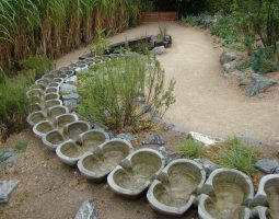 Cascade Silène au festival des jardins de Chaumont sur Loire