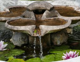 Fontaine trilobée en pierre de l'atelier des Vasques Vives dans un bassin aquatique avec nénuphars.