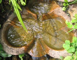 Vue de dessus de la Vasque Vive Papillon.