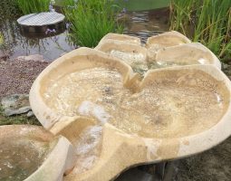 piscine- naturelle-broceliande-fontaine-aiga-terra